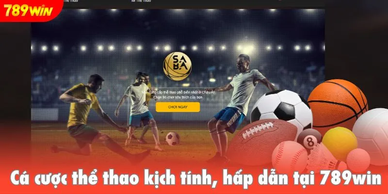 Cá cược thể thao kịch tính, hấp dẫn tại 789win